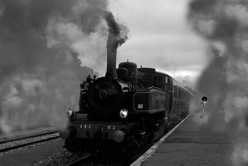 Le train de Venise